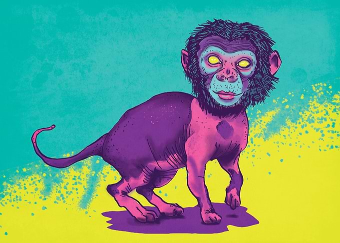 Monkey Cat