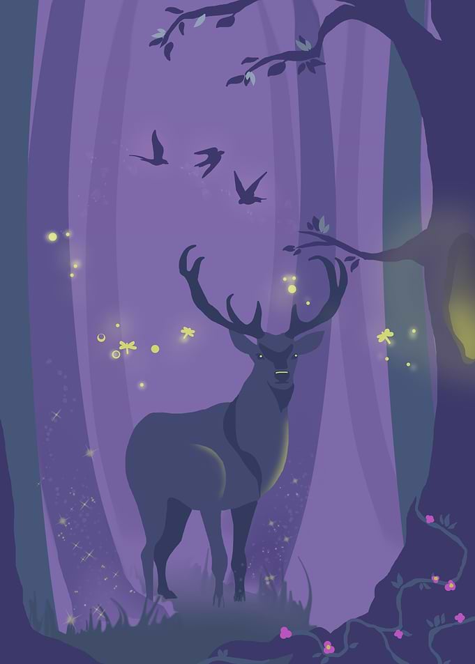 Enchanted Forest