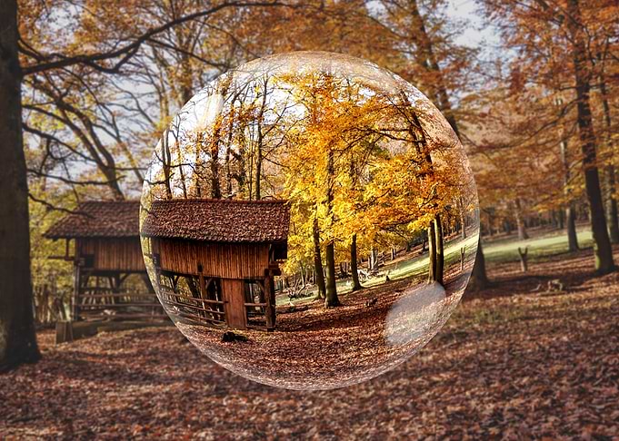 Autumn