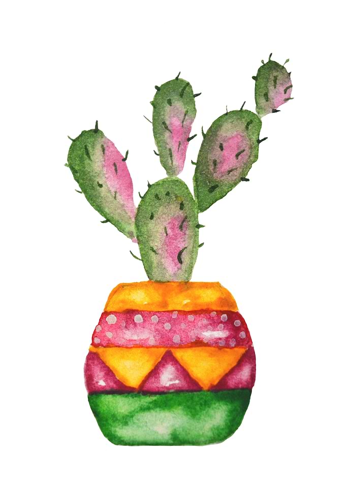 Watercolor cactus