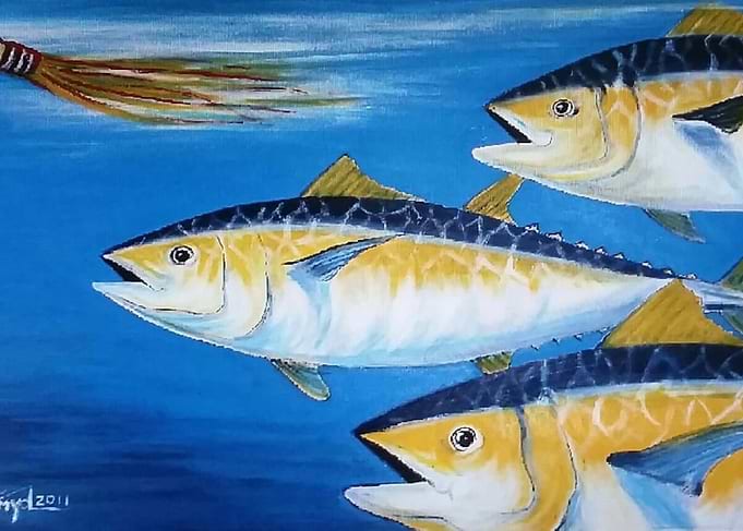 Group of Yellowfin Tuna