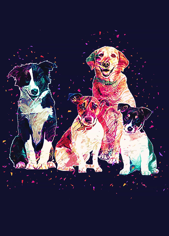 Dogs