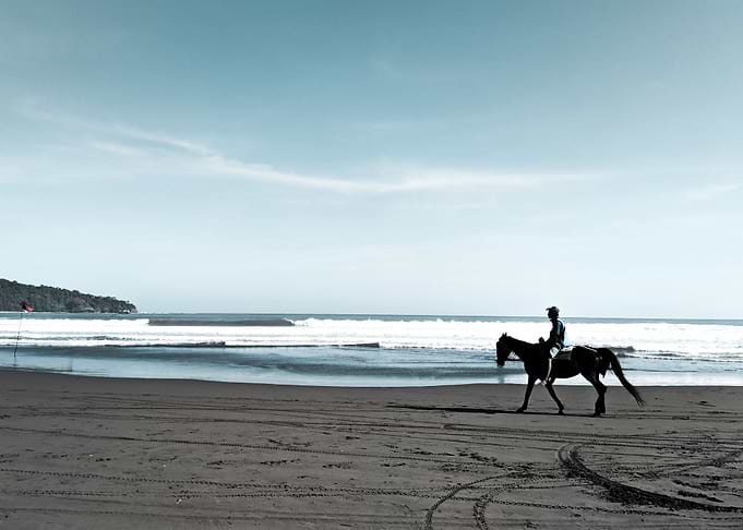 The Horseman