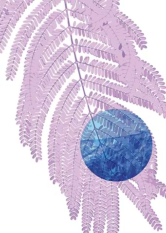 blue moon foliage
