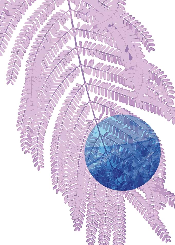 blue moon foliage
