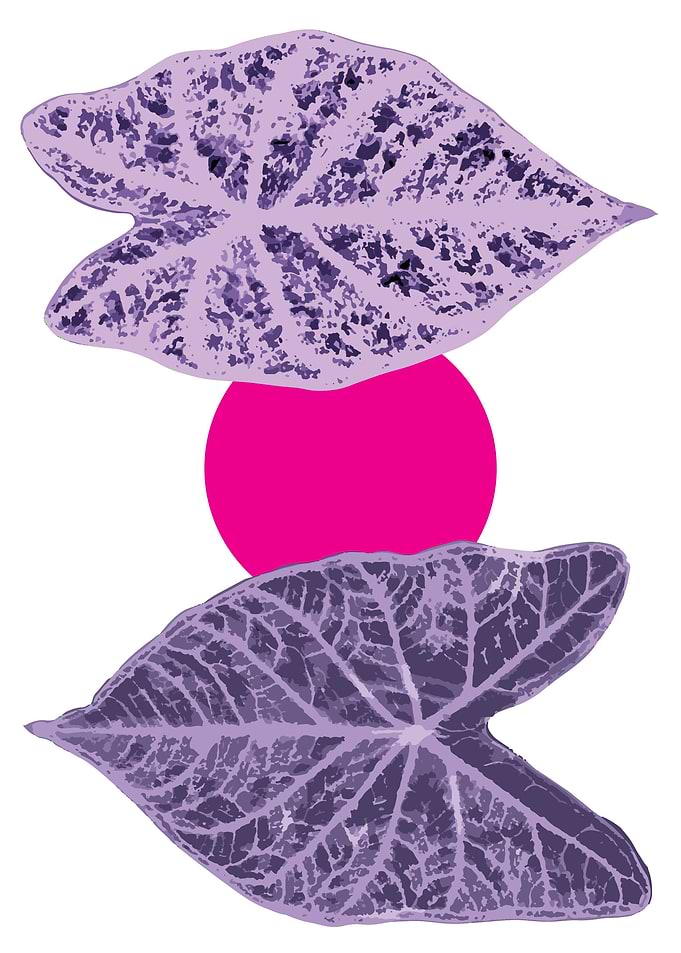foliage fuschia