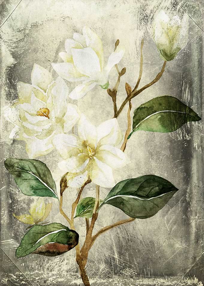 Magnolia Branch No1