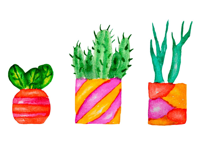 Succulents