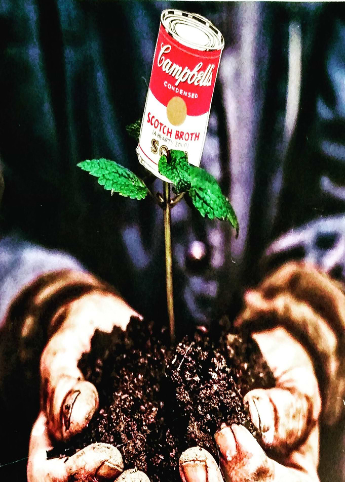 Soup Can Plant