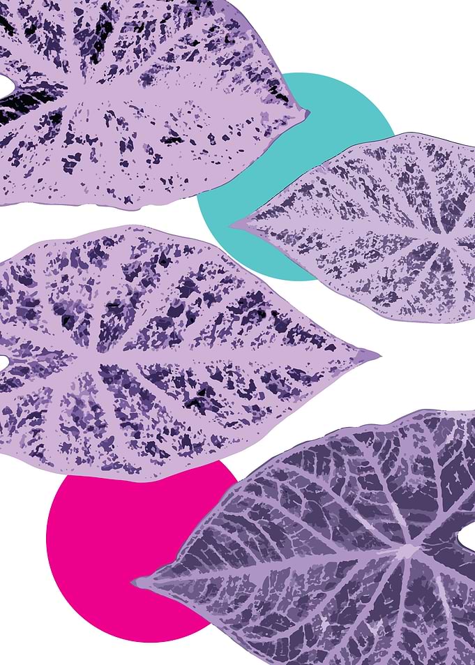 magenta cyan foliage