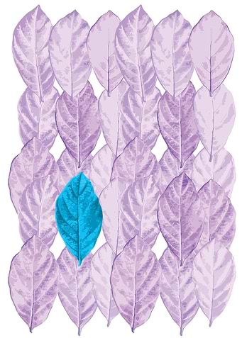 cyan foliage