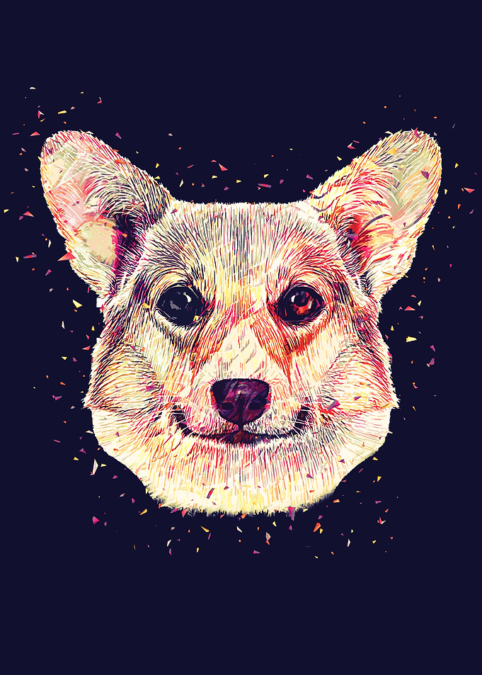 Corgi