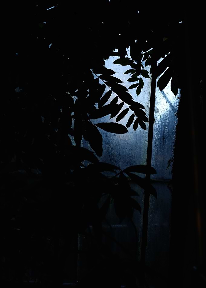 Abstract Greenhouse Plants