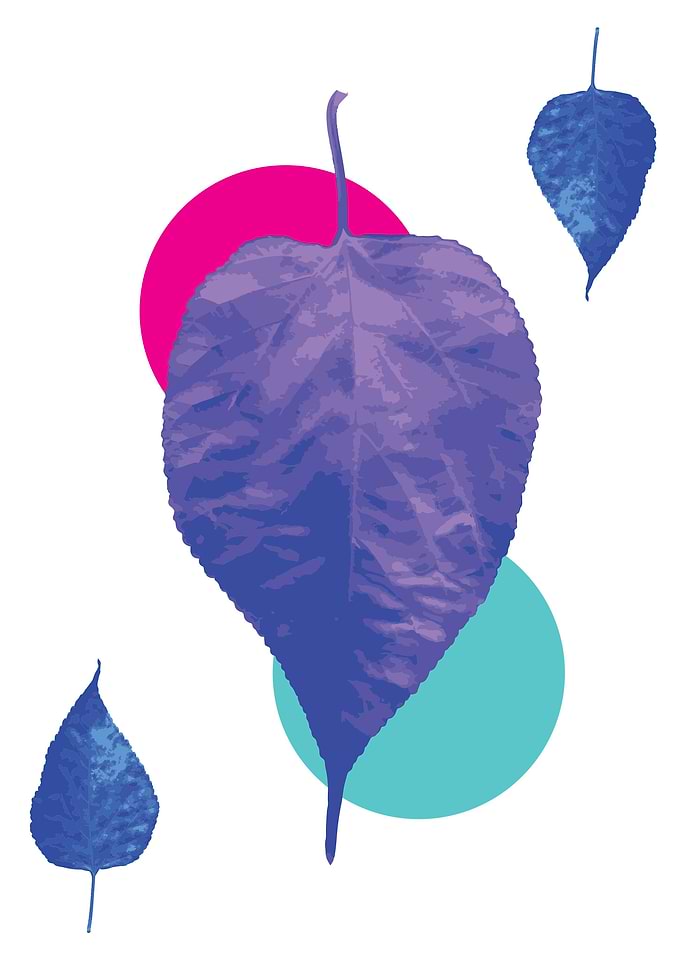 modern nature art 1