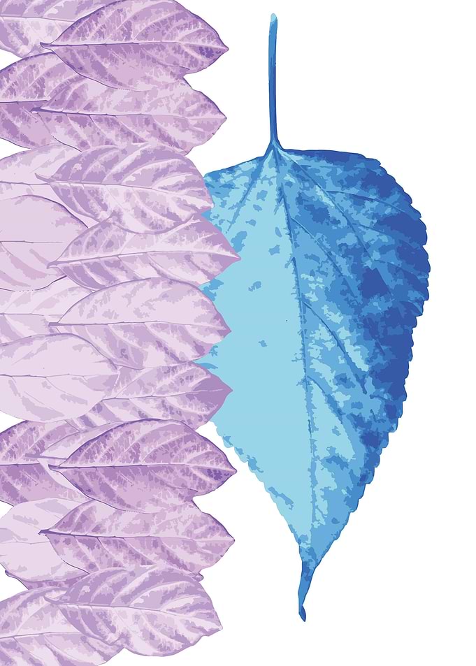 cyan leaf