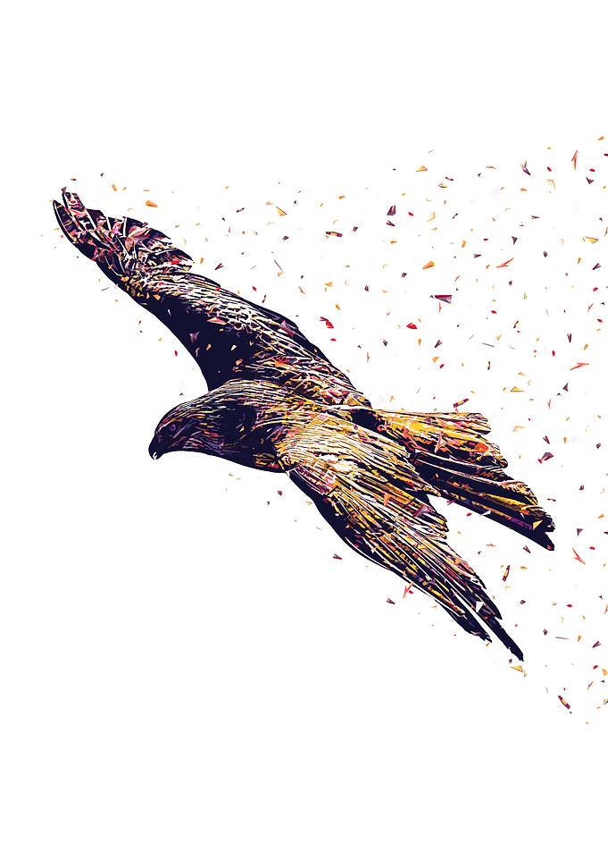 Eagle
