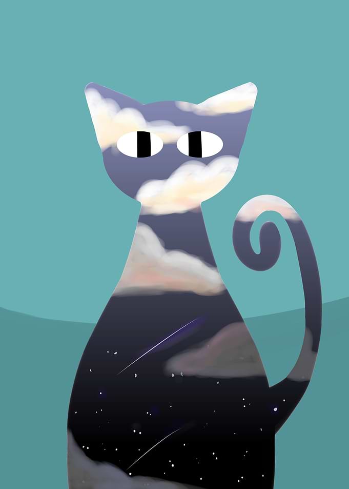 The Night Cat