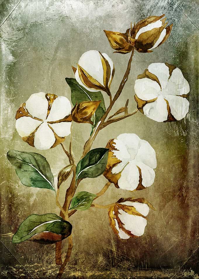 Cotton Branch Vintage
