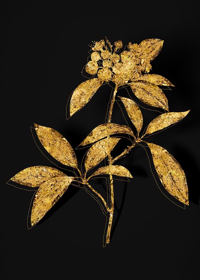 Gold Botanical on Black