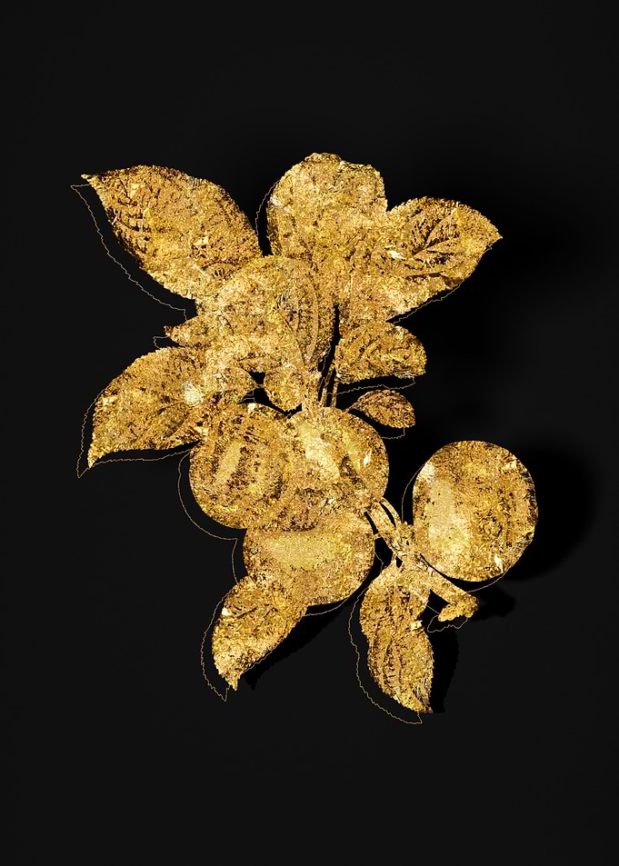 Gold Flora on Black