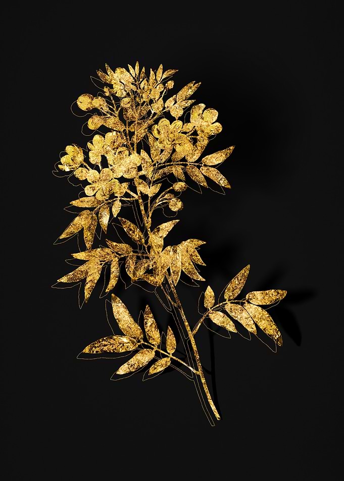 Gold Flora on Black
