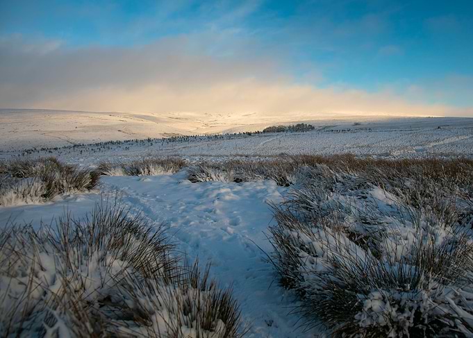 Blanket of snow