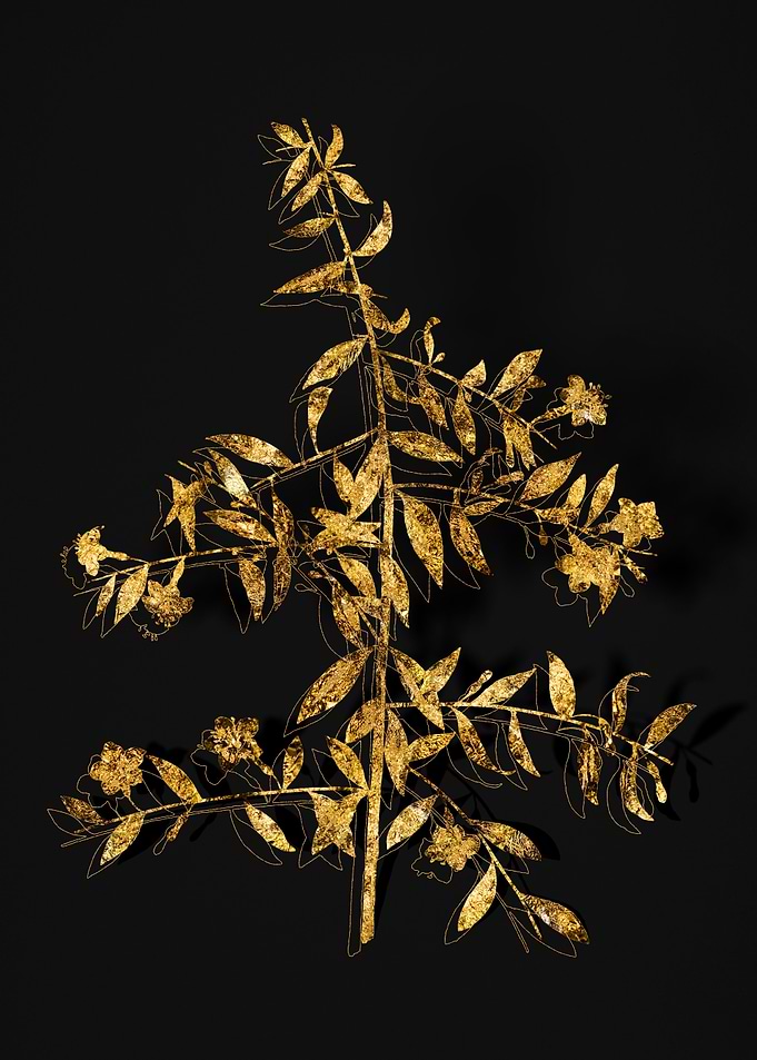 Gold Flora on Black