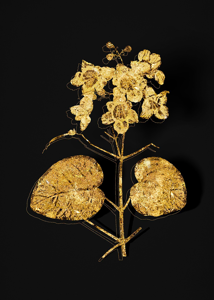 Gold Botanical on Black