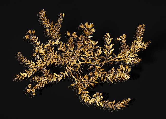 Gold Flora on Black