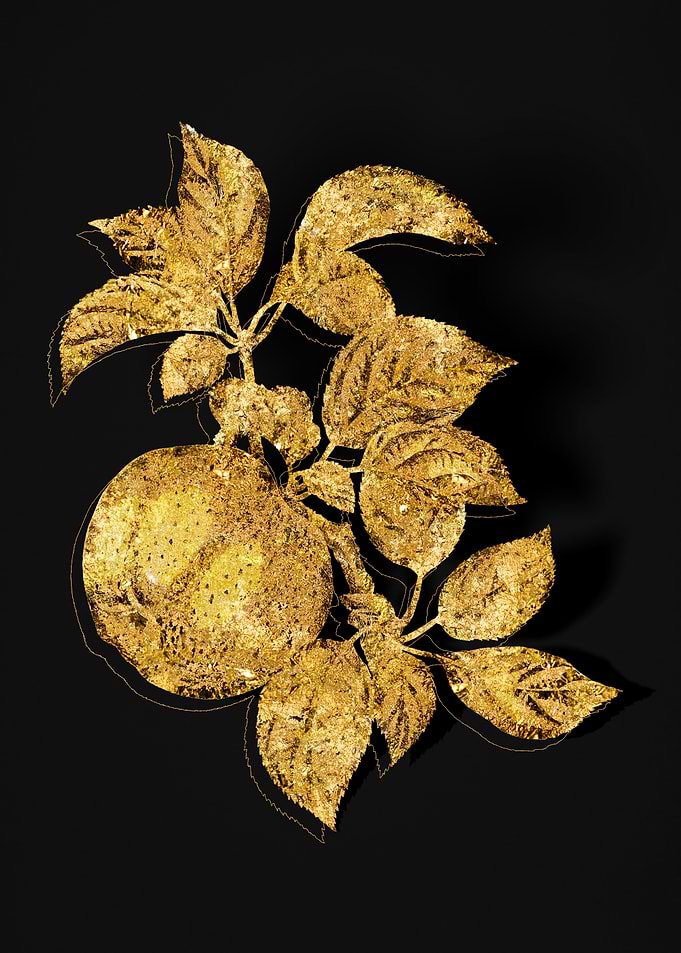 Gold Flora on Black