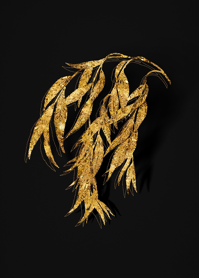 Gold Flora on Black