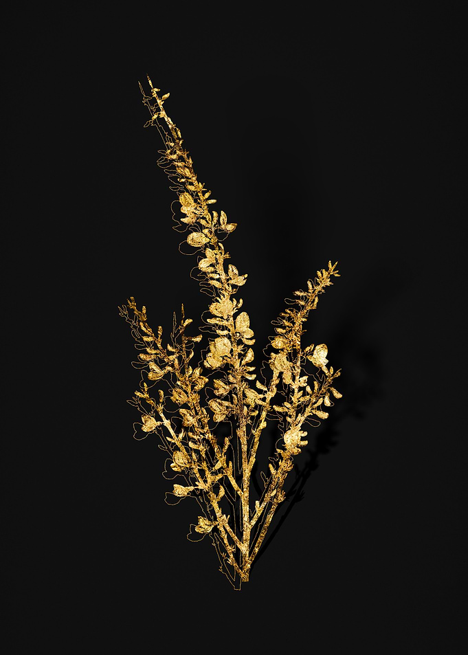 Gold Floral on Black
