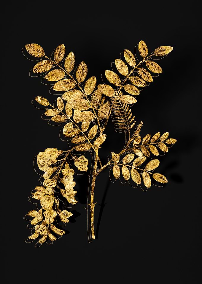 Gold Flora on Black