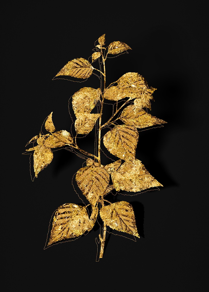 Gold Flora on Black
