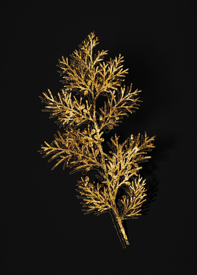 Gold Floral on Black