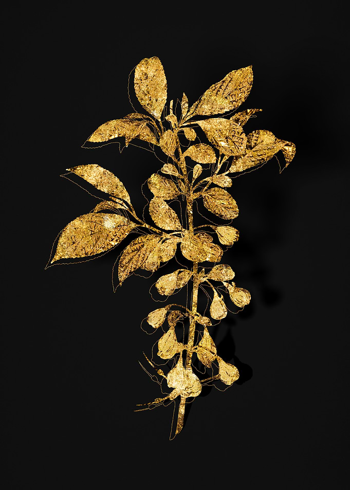 Gold Botanical on Black