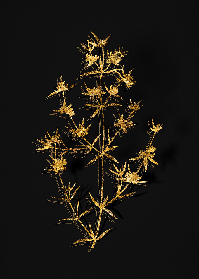 Gold Flora on Black