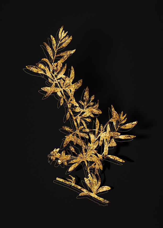 Gold Flora on Black