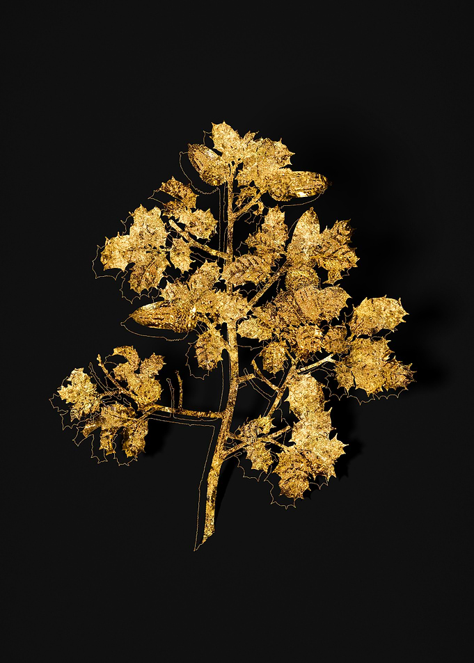 Gold Flora on Black
