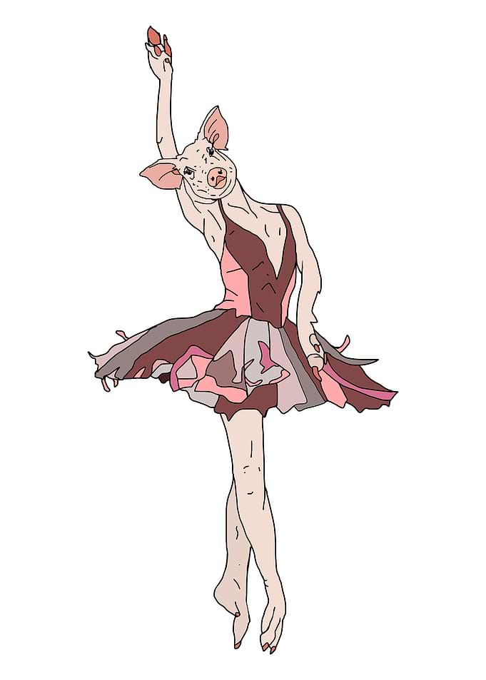 Pig Dancer