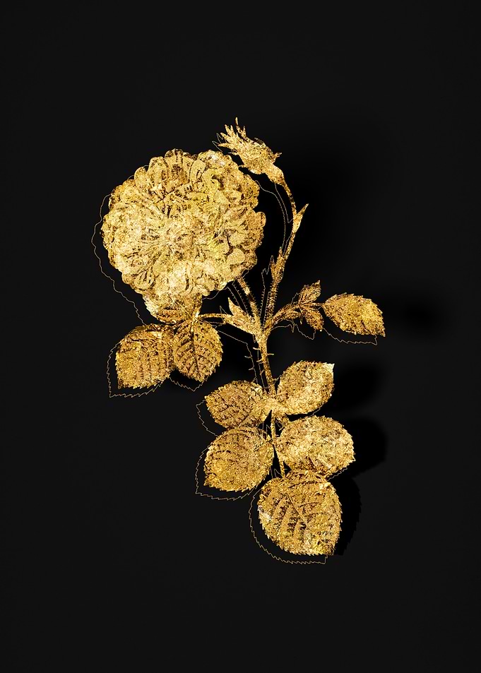 Gold Floral on Black