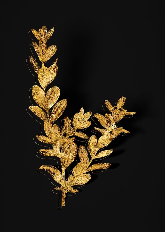 Gold Botanical on Black