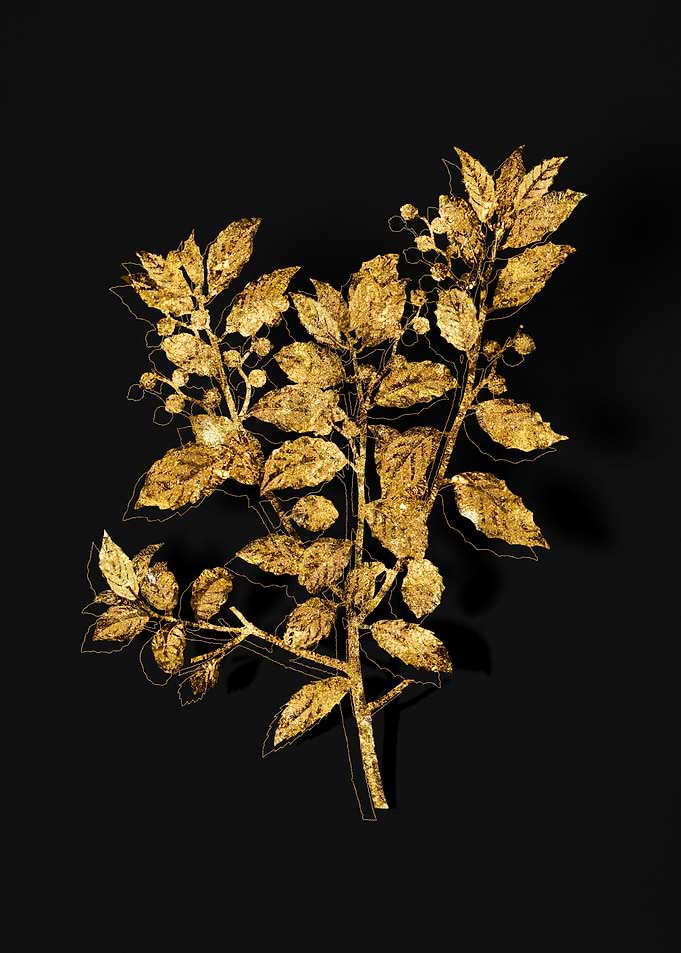 Gold Flora on Black