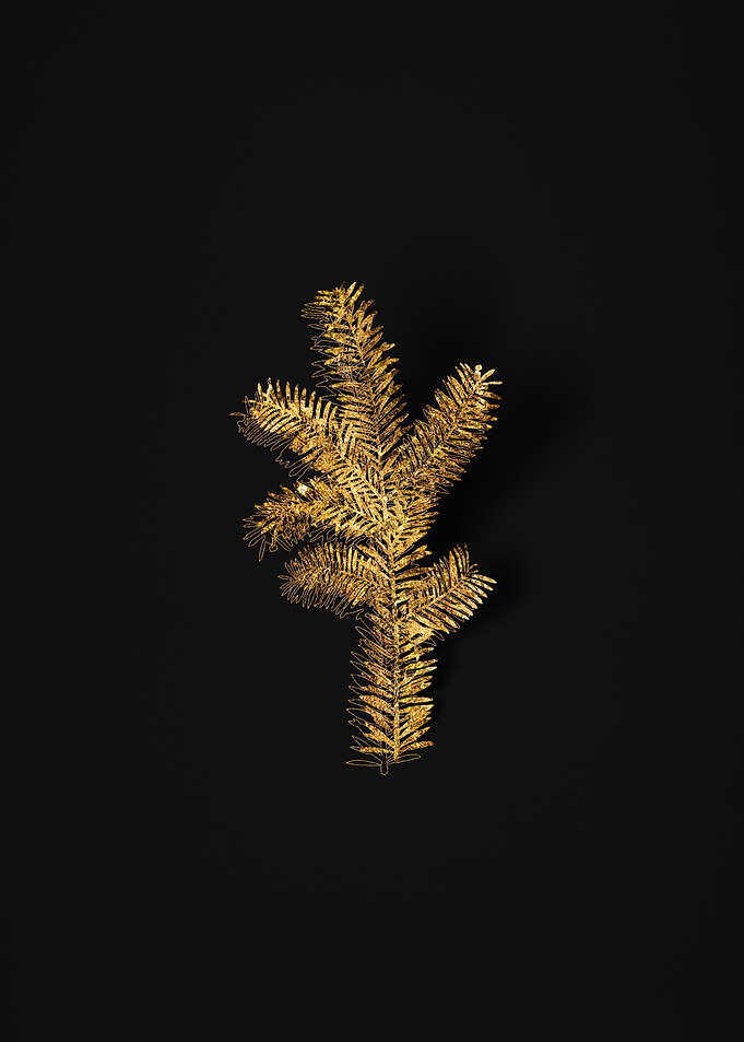 Gold Flora on Black
