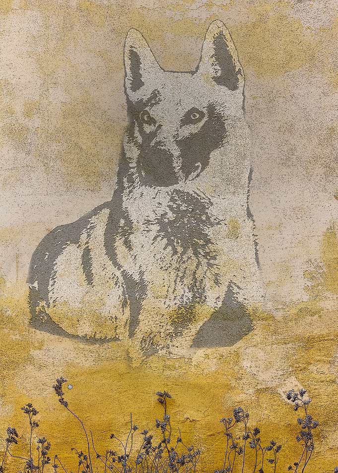 Coal dog