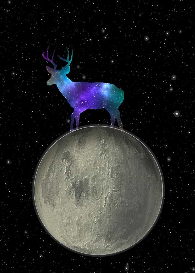 Deer