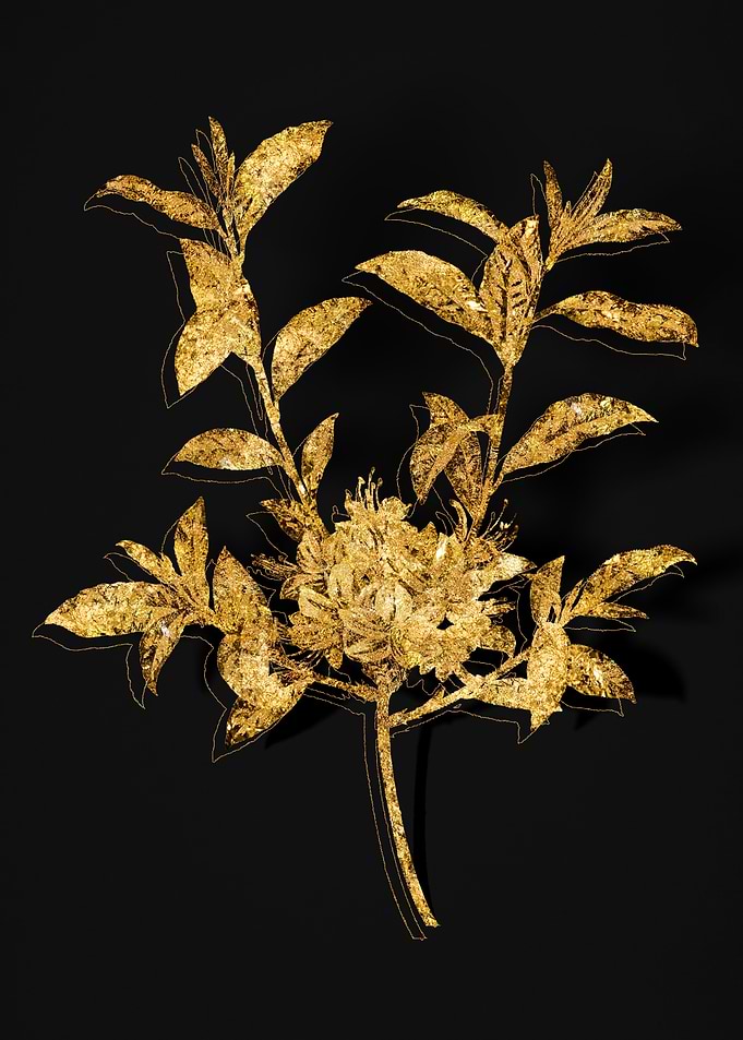 Gold Flora on Black