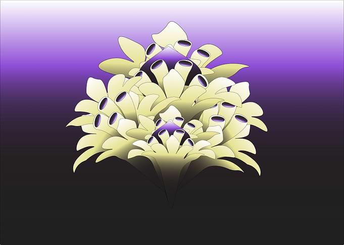 Abstract floral
