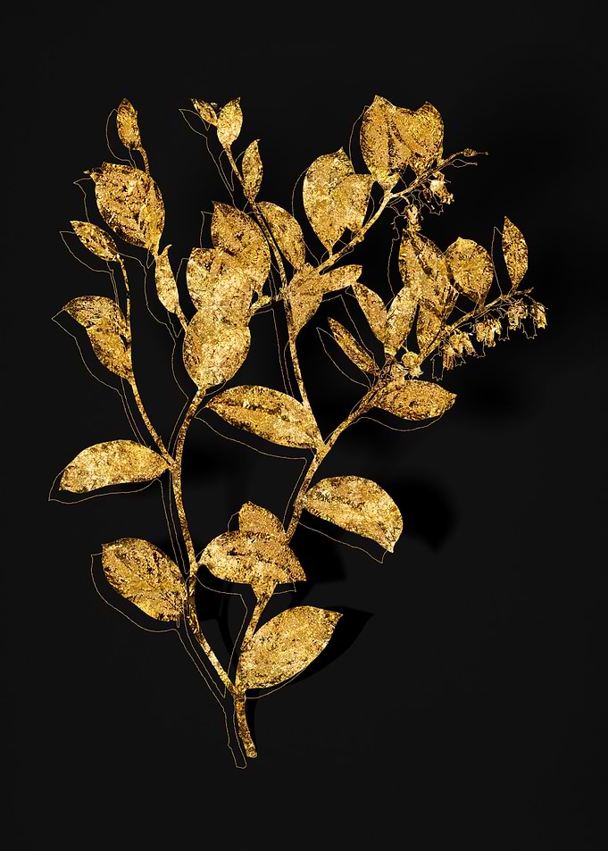 Gold Flora on Black