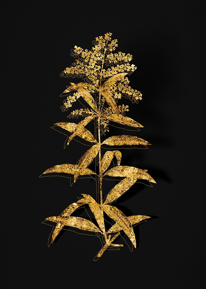 Gold Flora on Black